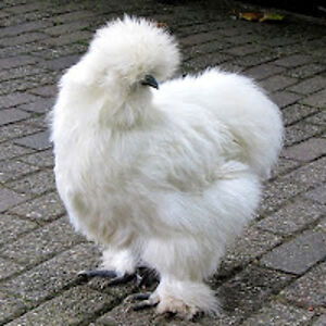 nicholasdavidgauthier avatar