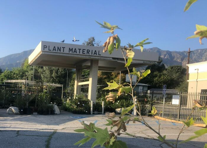 Gas Station Turned Into A Plant Material Shop