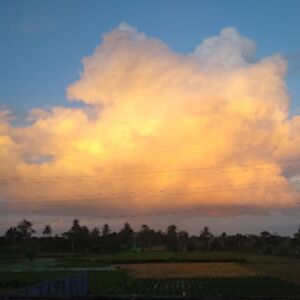 swastikasherpa avatar