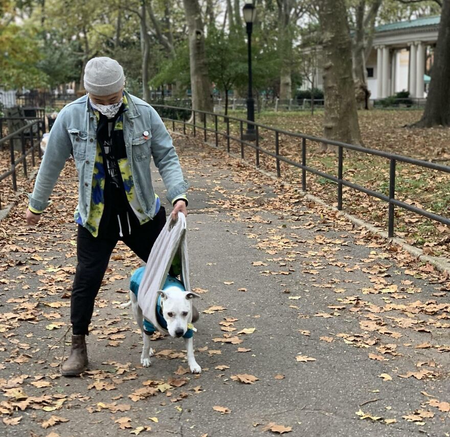 Look At My 15 Y/O Senior Dog Pascal Walking, And Snacking, And Relaxing