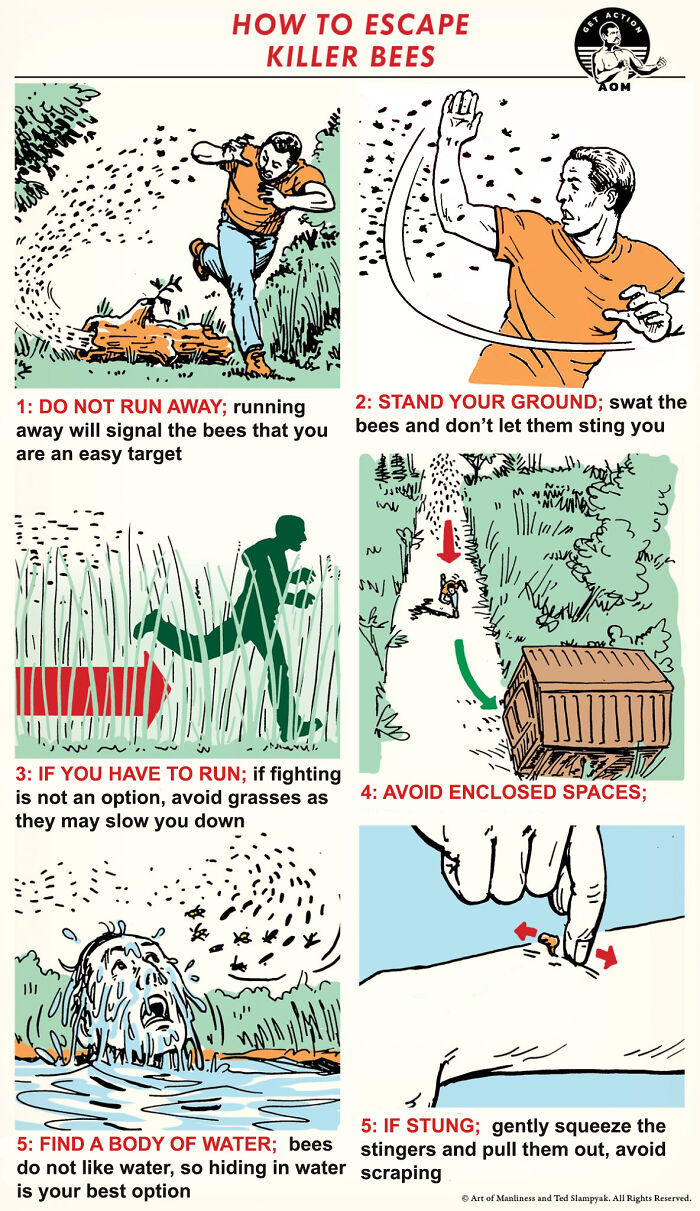 How To Escape Killer Bees By Patrick Hutchison