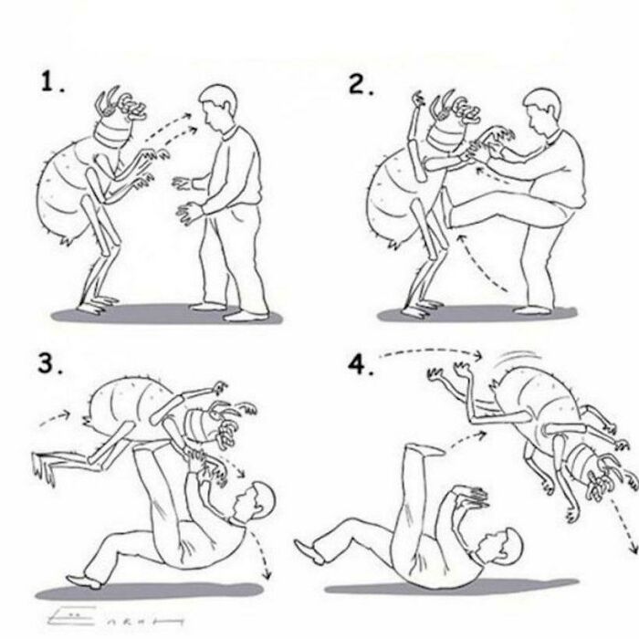 Instrucciones sobre cómo prevenir una picadura de garrapata (“Cómo combatir las garrapatas”, en el original)