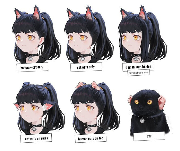 Comprehensive Guide To Catgirl Ears