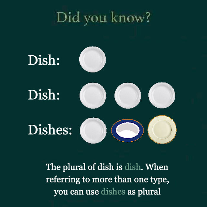 Plural Of Dish