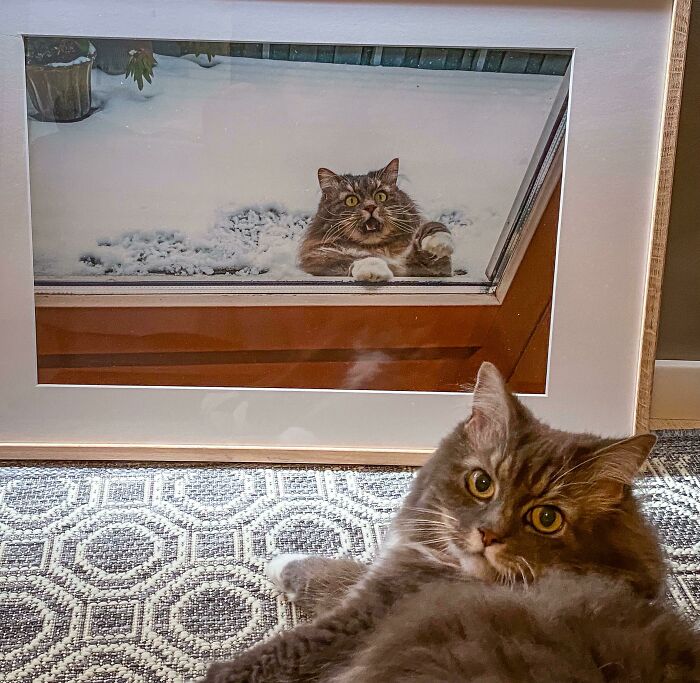 Framing Our Best Picture