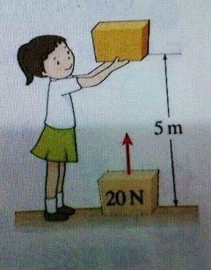 Assuming 5m Is Meters, Girl Must Be About 16ft Tall