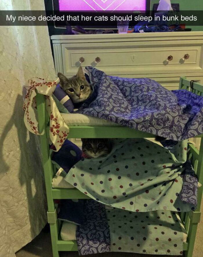 They Will Sleep There From Now On
