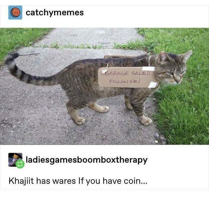 I Have To Earn My Keep Meow