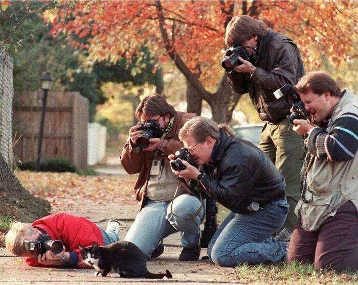 Bill Clinton’s Cat “Socks” Being Hounded By Paparazzi