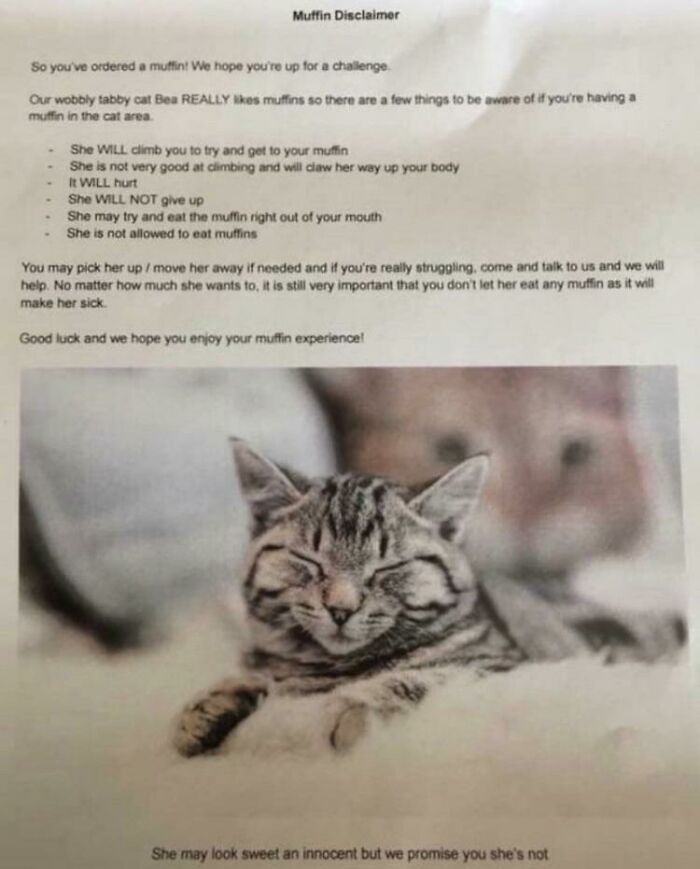 Sign At A Cat Cafe