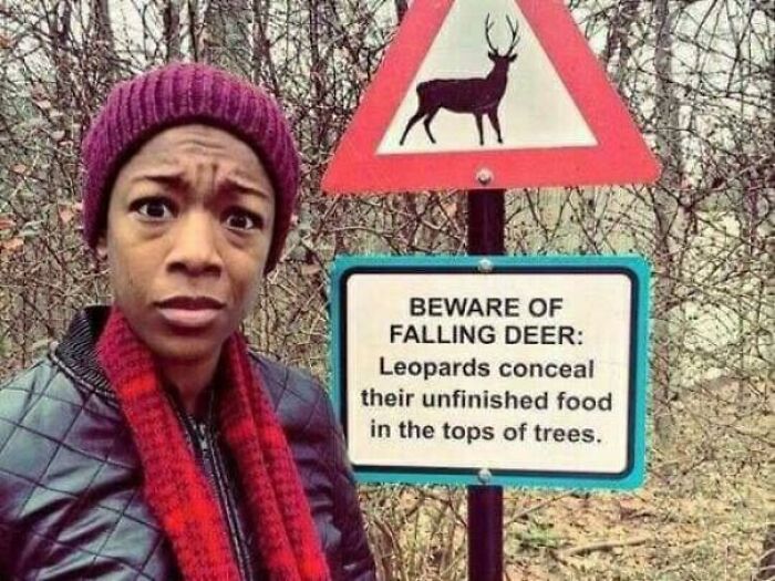 Yes The Deer Are The Danger