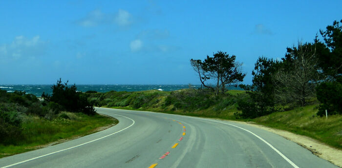 Picture of 17-Mile Drive road with trees near
