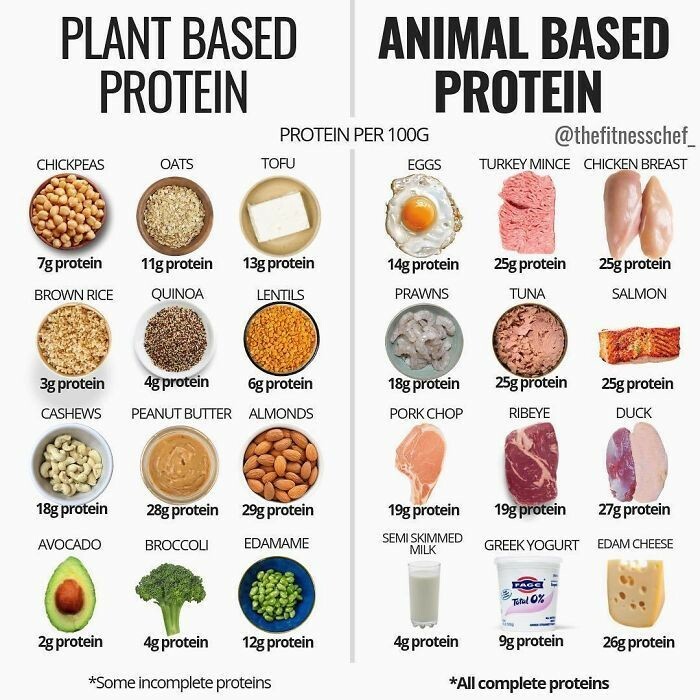 Protein Content In Plant Based And Animal Based Proteins