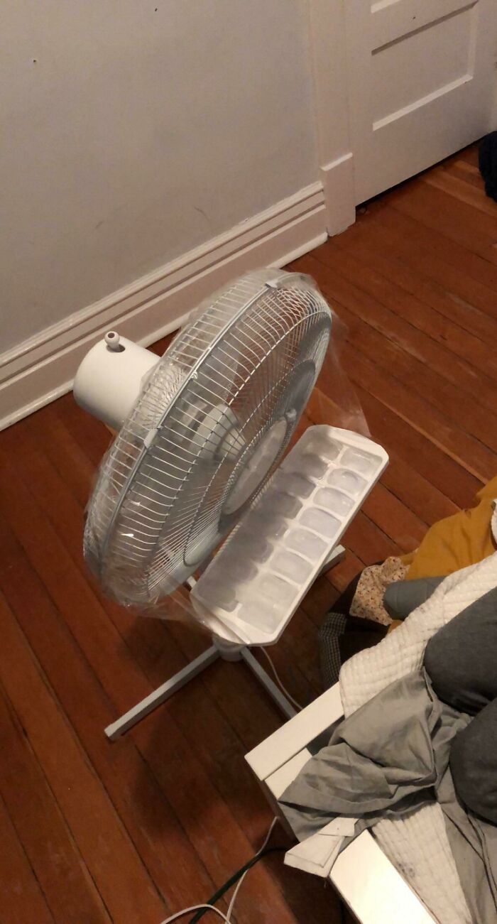 Need I Say Any More?