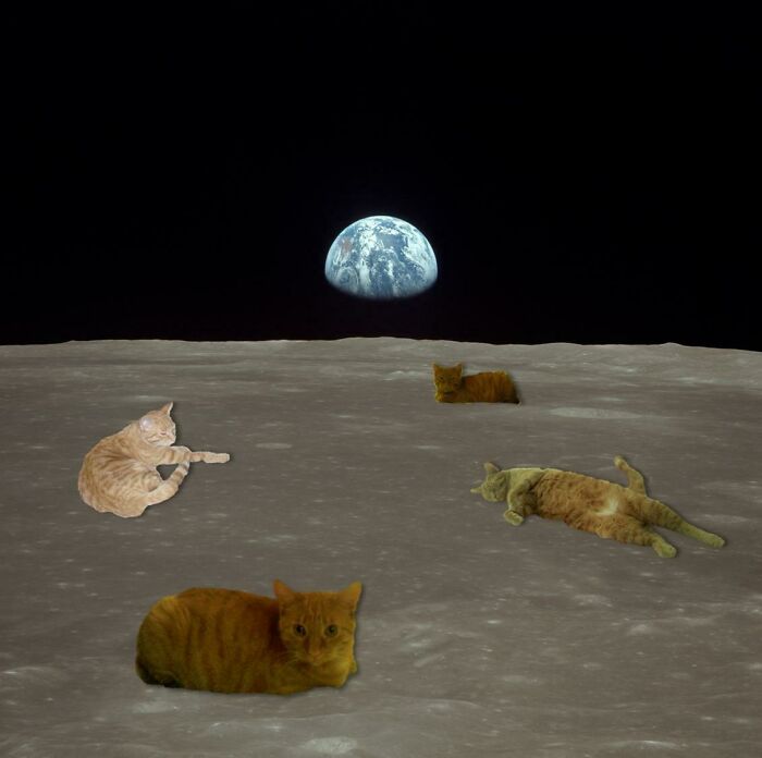 If The Moon Landing Is Real Explain This