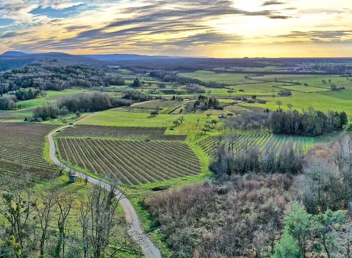 Picture of Paris to Berlin road with fields and forests