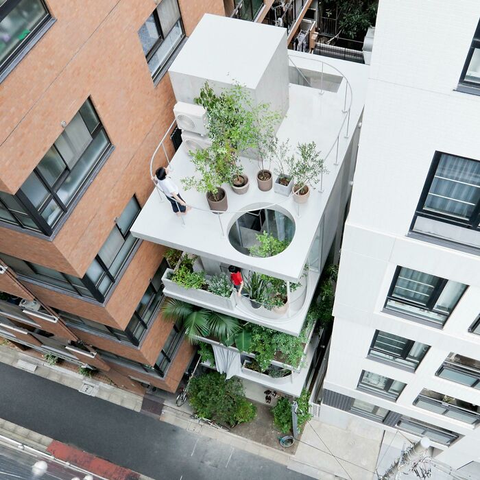  Casa y jardín | Ryue Nishizawa | Tokio, Japón