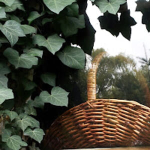 taffydejarnette avatar