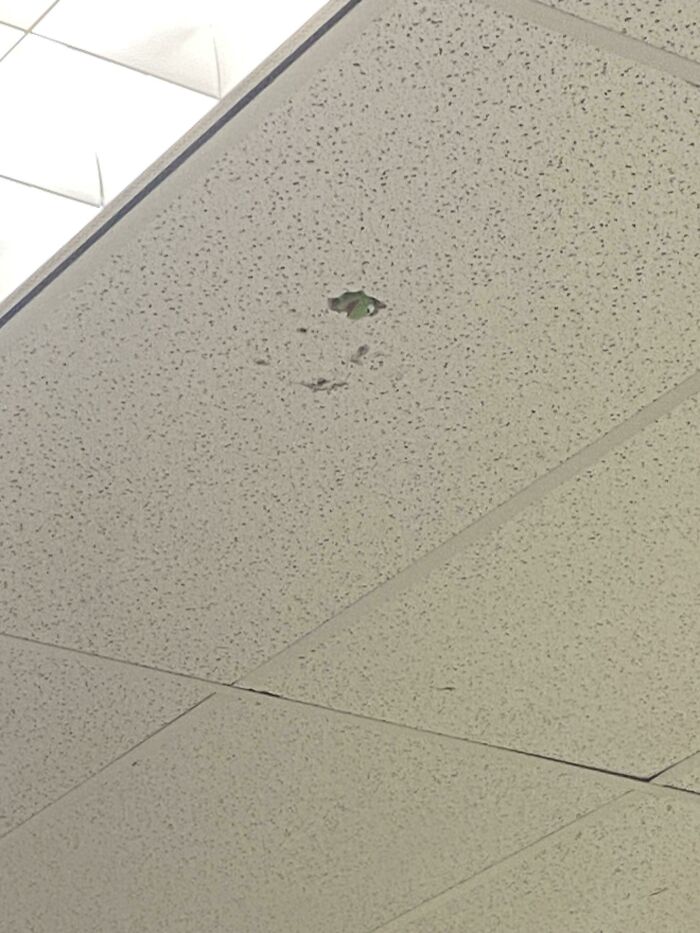 Kermit Peeking Through The Ceiling In My English Class. I Always Wonder How He Got There