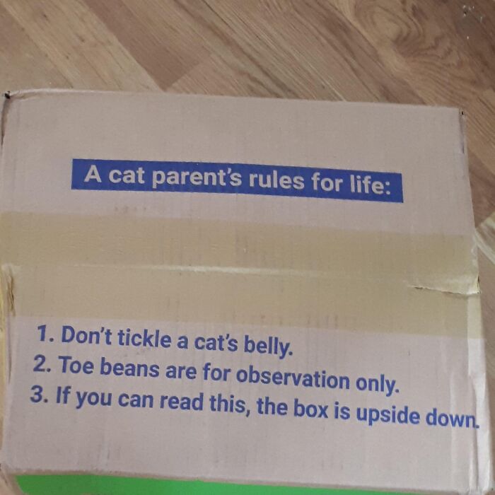 ‘A Cat Parent’s Rules For Life’ On The Bottom Of Our Cat Food