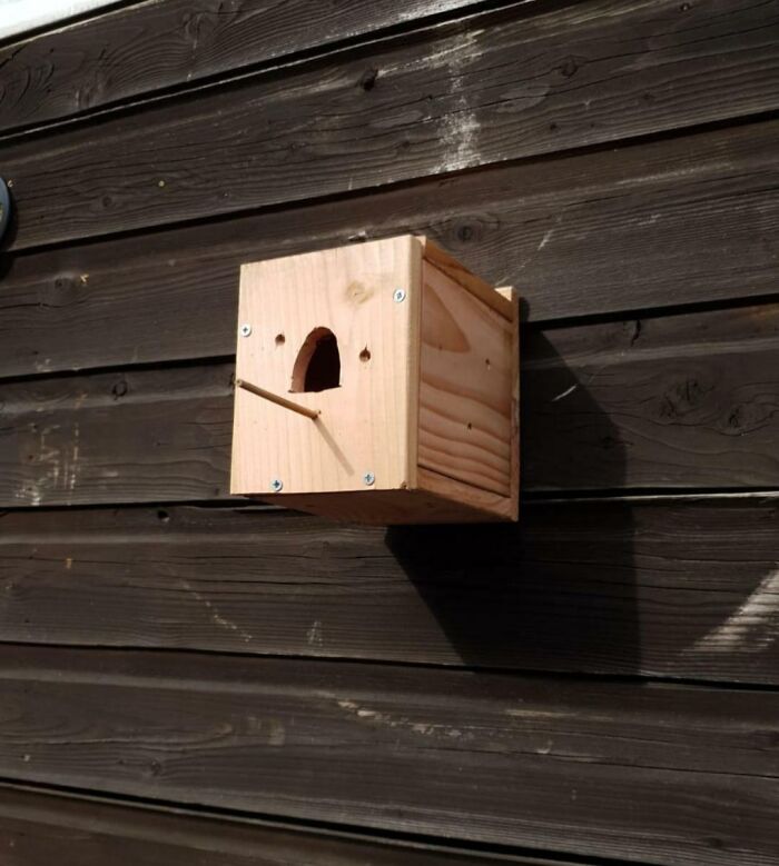 Finally Found A Reddit Where I Can Show Off. Here You Can See A Bird House, Made It Myself