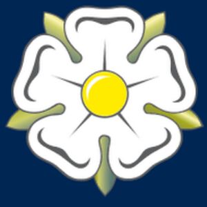 anthonybrookwalkerant avatar