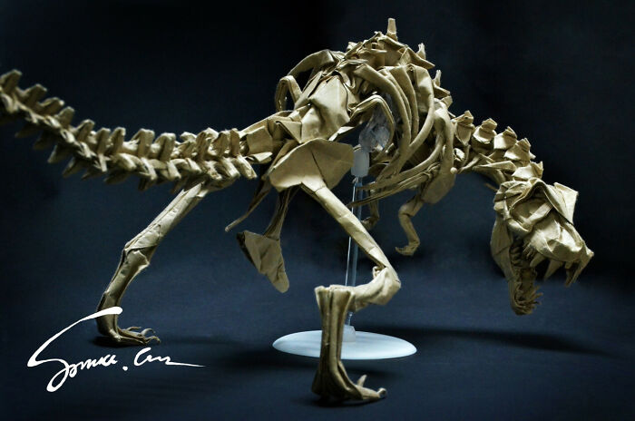 Tyrannosaurus Skeleton By Issei Yoshino