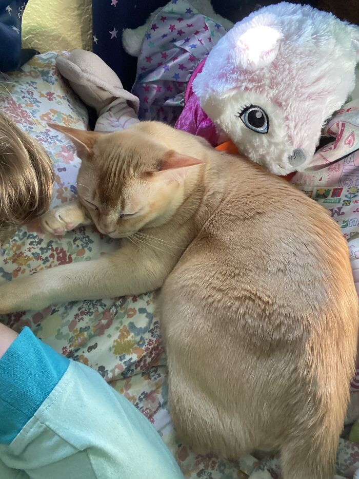 My Tiny Loaf Who Just Sleeps