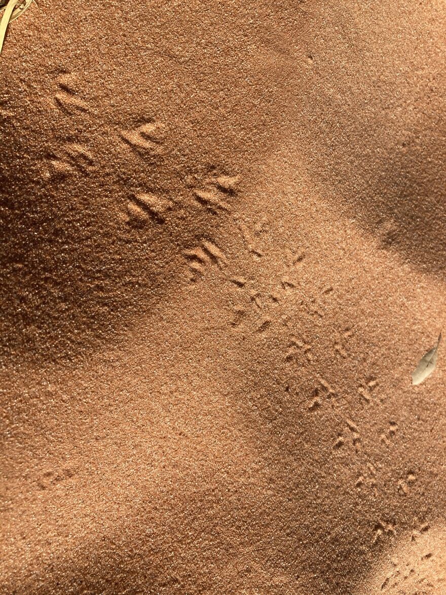 Footprints In The Sand Taken In St. George, Utah