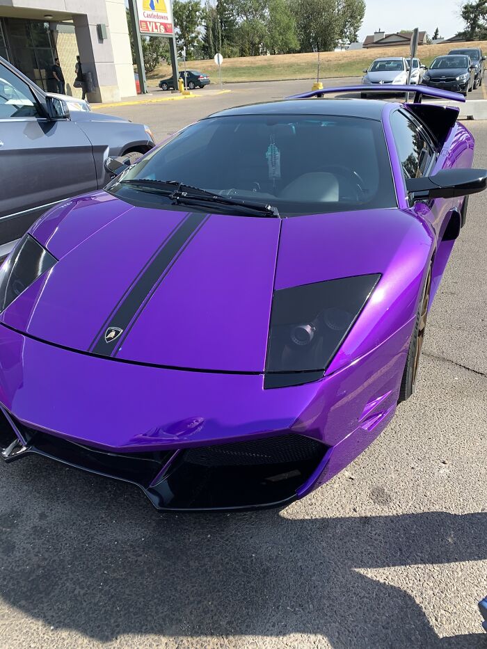 Found This In A Dollar Tree Parking Lot