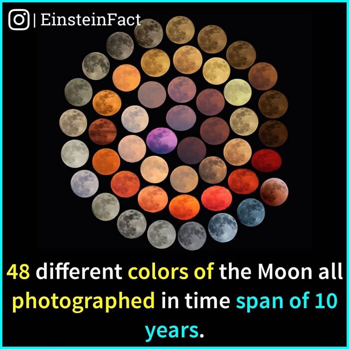 Interesting-Facts-Einsteinfact