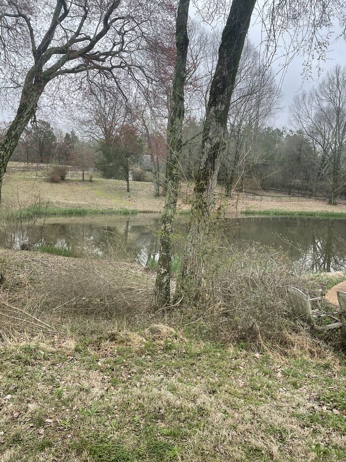 Eads, Tn! Kind Of Drizzly And Cold