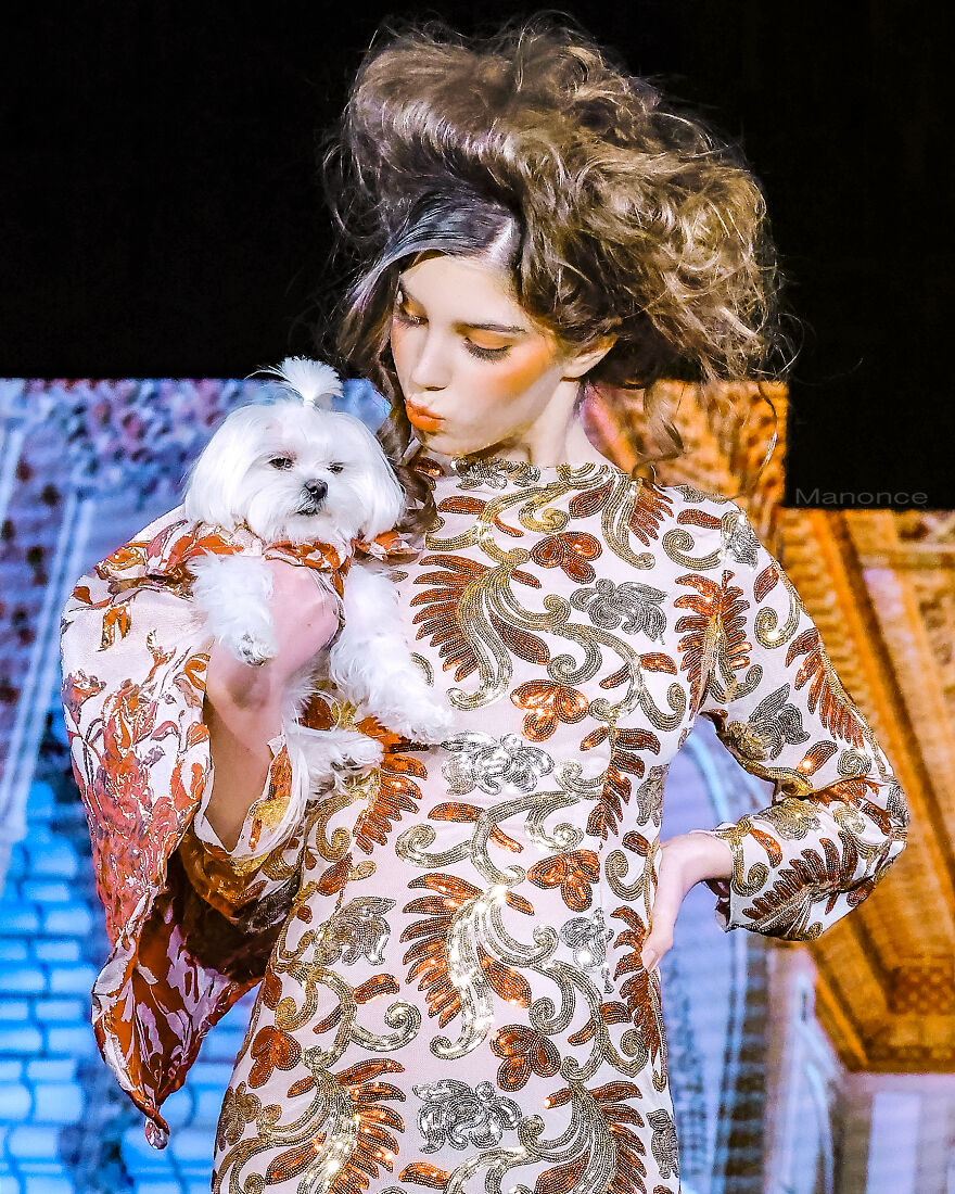 Stylish Pets Take Over New York Fashion Week Stylish Pets Take Over New York Fashion Week