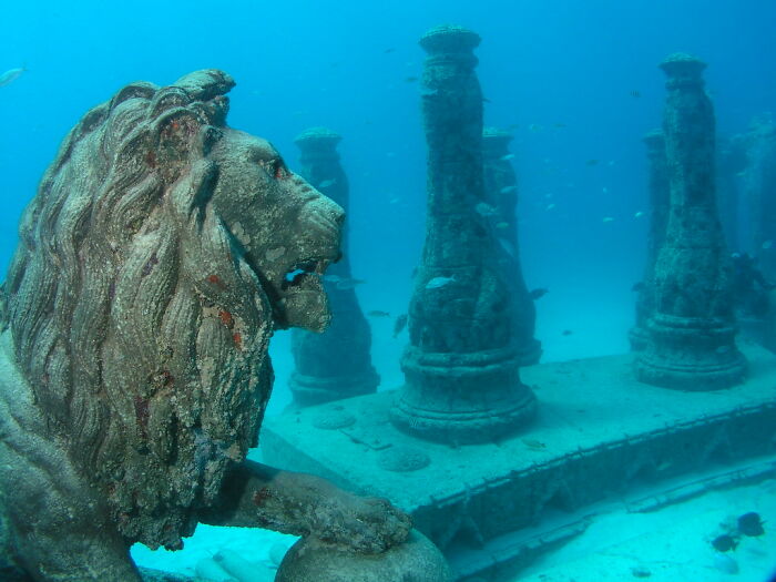 Neptune Memorial Reef (USA)