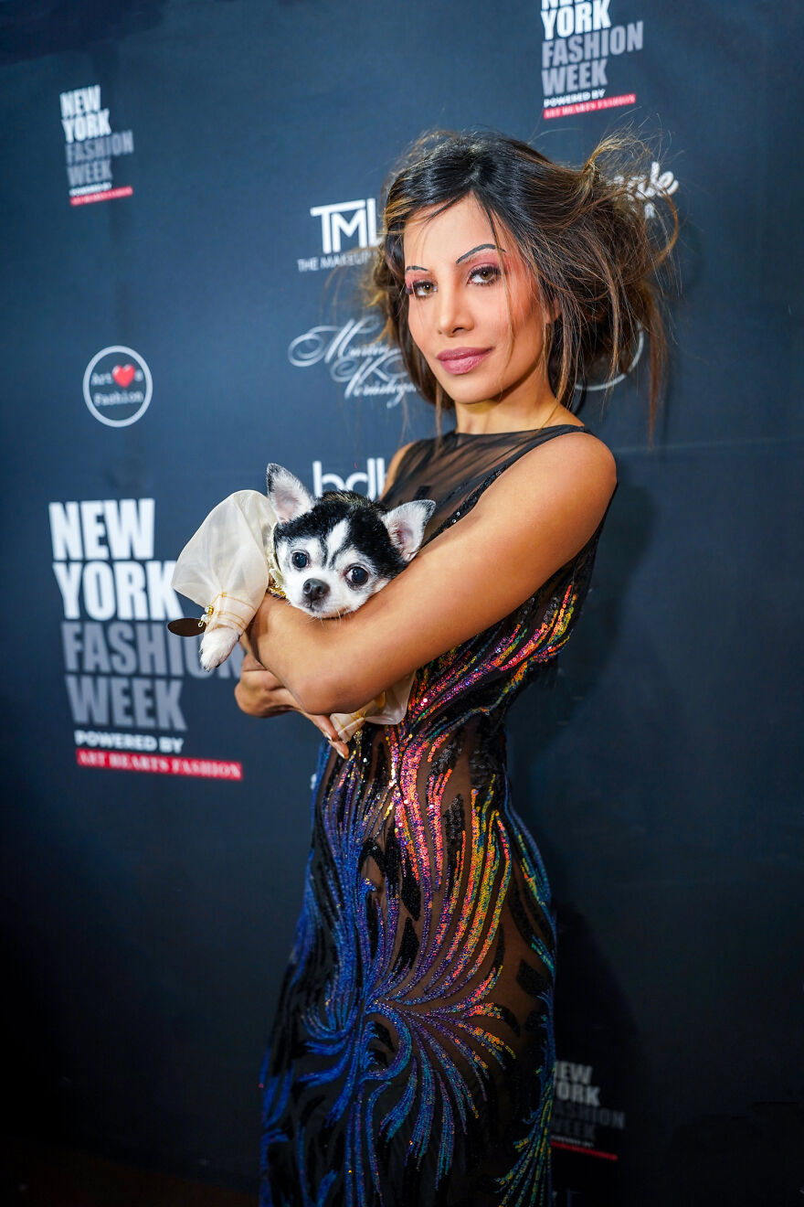 Stylish Pets Take Over New York Fashion Week Stylish Pets Take Over New York Fashion Week