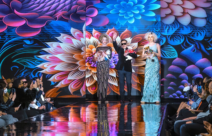 Stylish Pets Take Over New York Fashion Week Stylish Pets Take Over New York Fashion Week