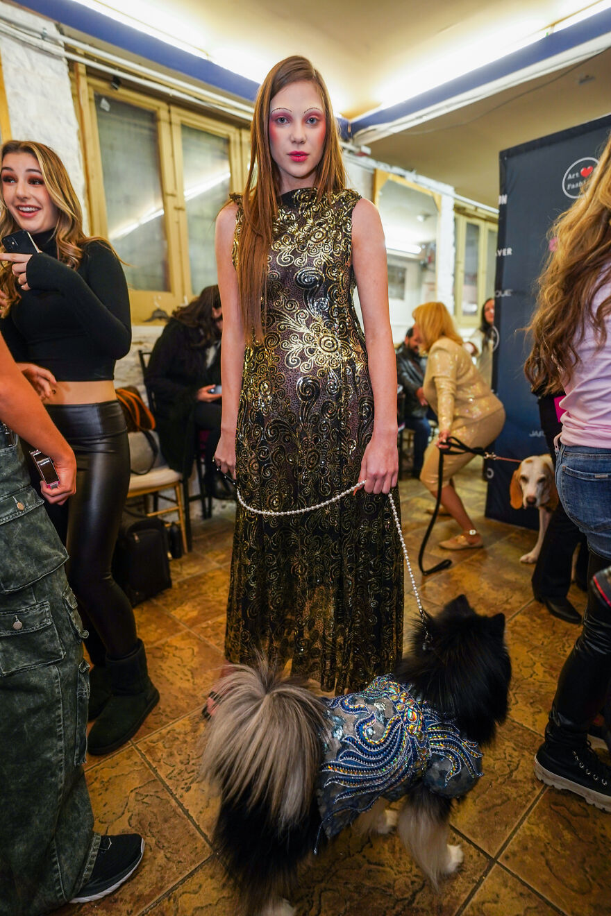 Stylish Pets Take Over New York Fashion Week Stylish Pets Take Over New York Fashion Week