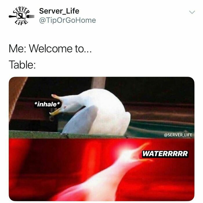 Funny-Server-Life-Memes