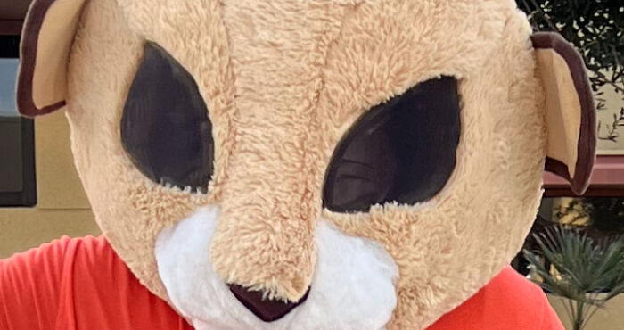 Hey Pandas, Show Us Your Eyes (Closed) | Bored Panda