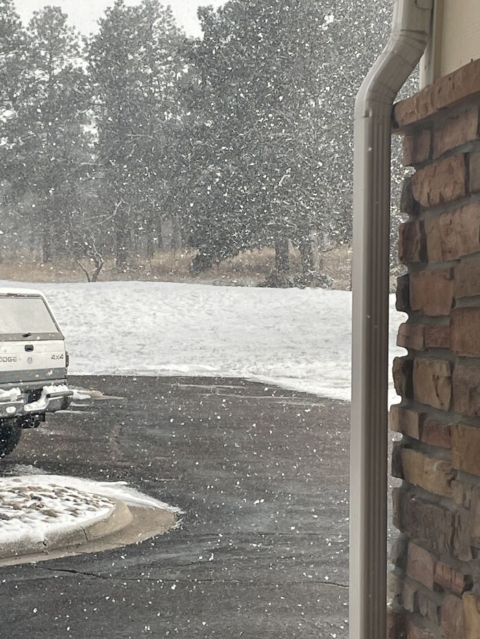 My Daughters In Colorado