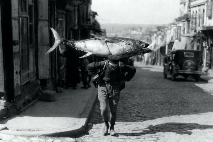 C. 1930. Un pescador turco regresa con su botín