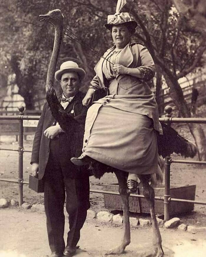 Couple Posing With An Ostrich In Paris Circa 1910