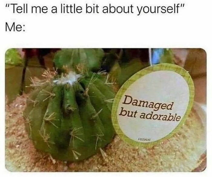 Funny-Therapy-Memes-Someonestherapist