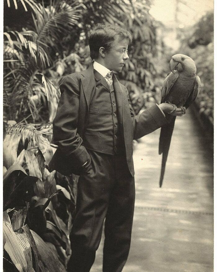 Theodore Roosevelt Jr. With Eli Yale, A Hyacinth Macaw, In The White House Conservatory. 1902