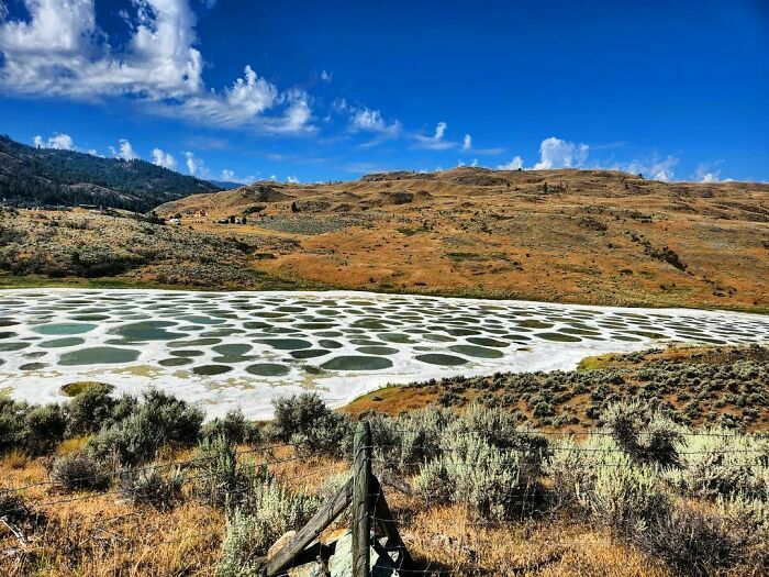 Spotted Lake, Canada