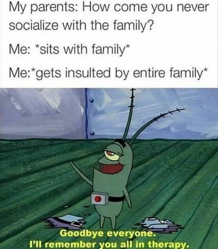 Therapy meme featuring a cartoon character joking about family insults and therapy.