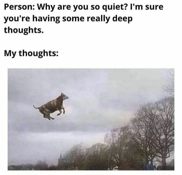 Text at the top with a flying cow meme, humor suggesting random thoughts, ideal for therapy discussion.