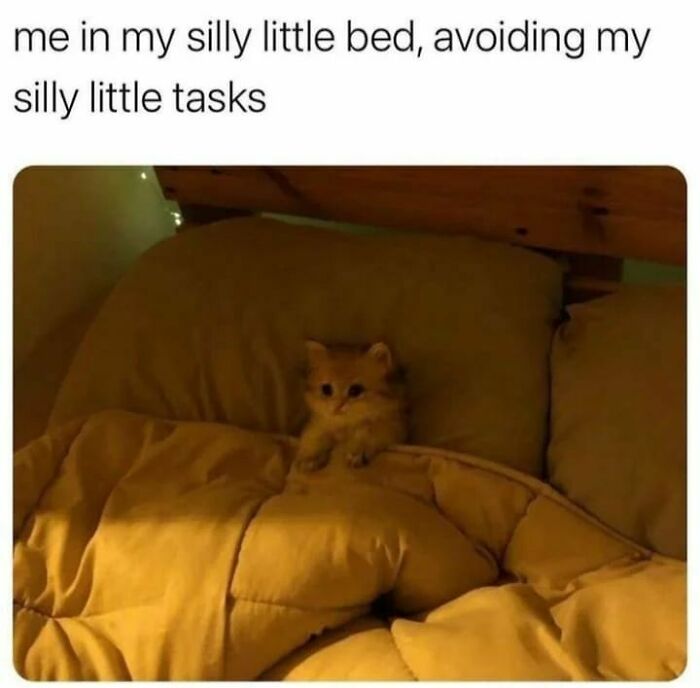 Kitten cozy in bed, humorously avoiding tasks, reflects memes often discussed in therapy.
