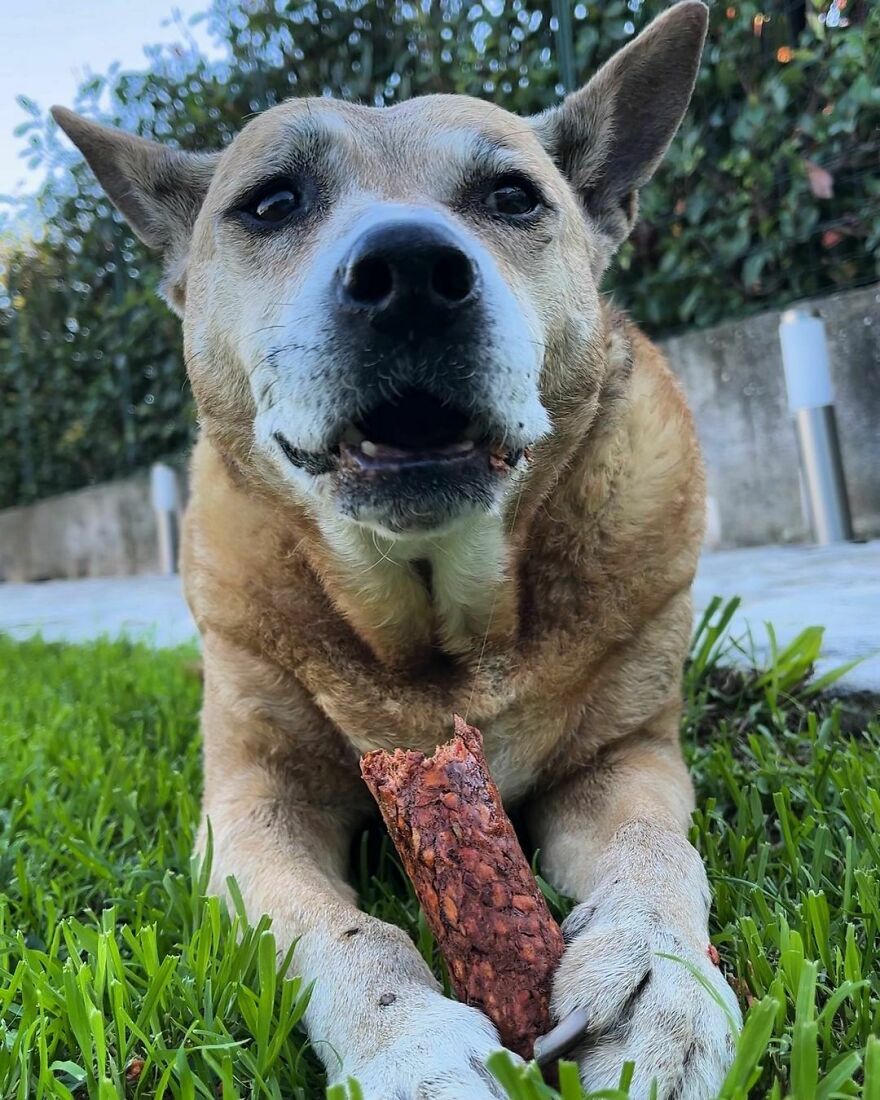 15 Years And 139 Days. And No Teeth. But I Still Love You From The Moon And Back