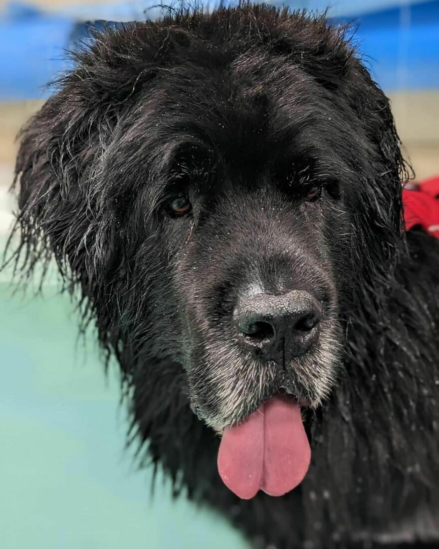 Happy Tuesday, From Indi